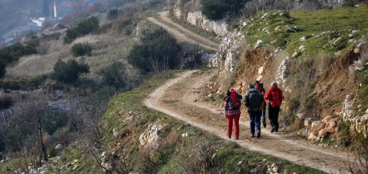 Compete in one of the Dalmatian Trail League races (ImberTrek or Mosor Grebbening, April and May only) and Dalmatia Ultra Trail in October!