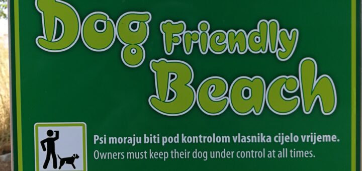 Dog Friendly Beach